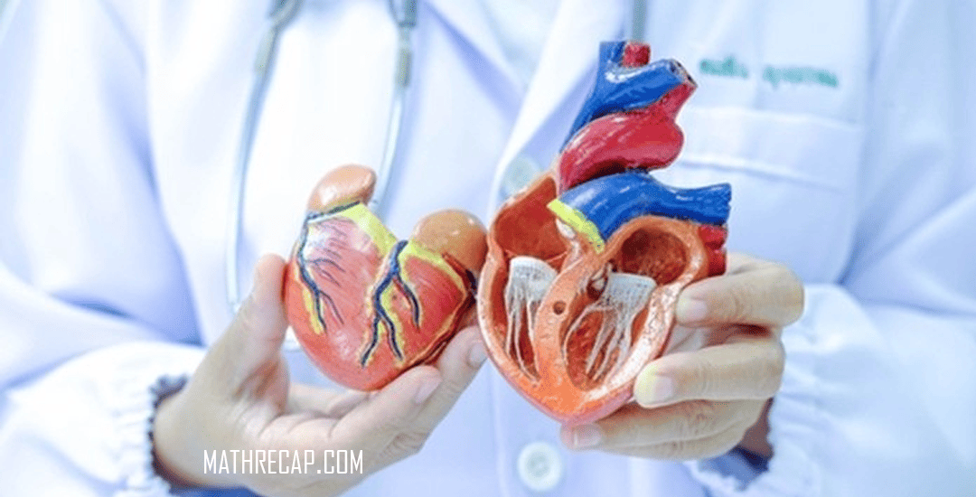 Makanan untuk Memperlancar Pembuluh Darah dan Cegah Penyakit Jantung serta Stroke