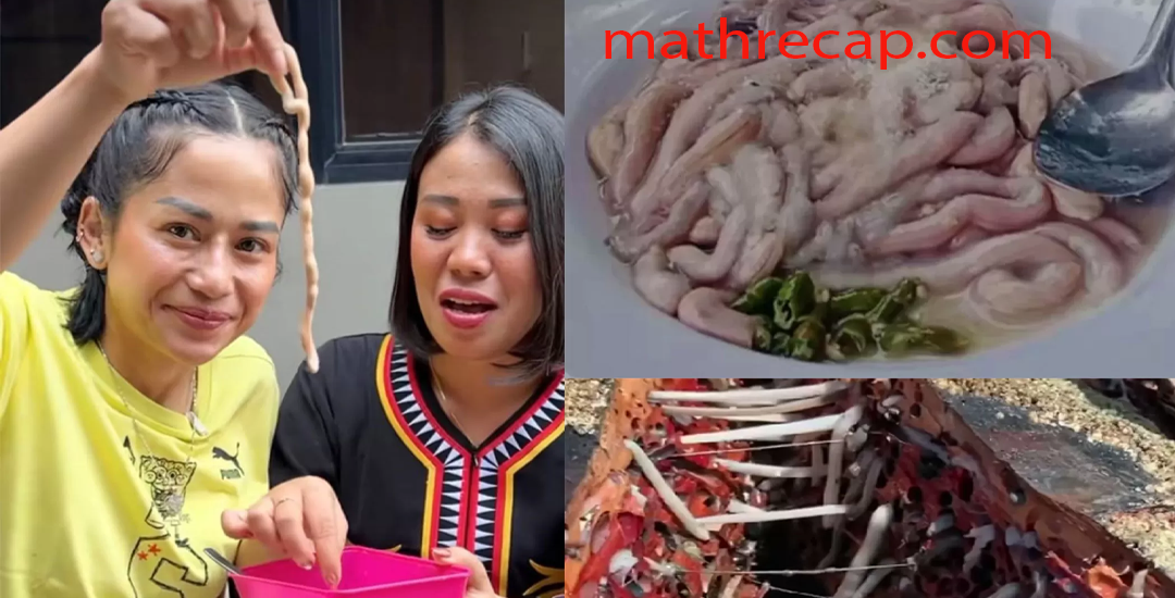 Cacing Tembiluk: Makhluk Unik dari Dalam Kayu yang Menawarkan Manfaat Besar