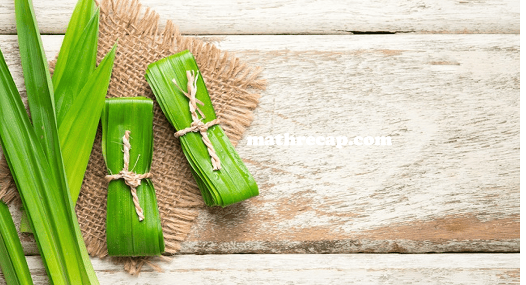 Jangan Sia-Siakan 7 Manfaat Daun Pandan bagi Kesehatan Berikut Ini