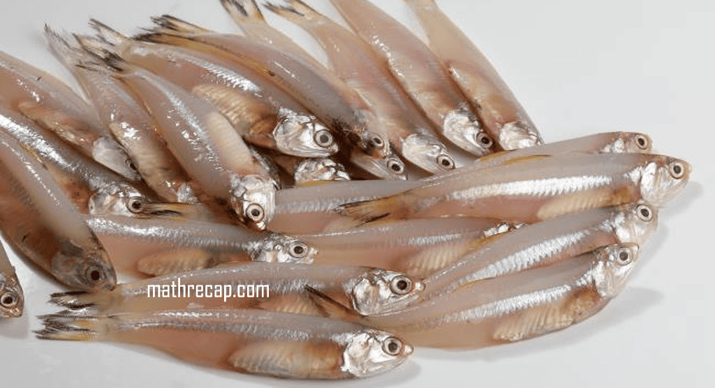 Ikan Bilis: Kandungan Nutrisi, Potensi Manfaat, dan Tips Aman Mengonsumsinya