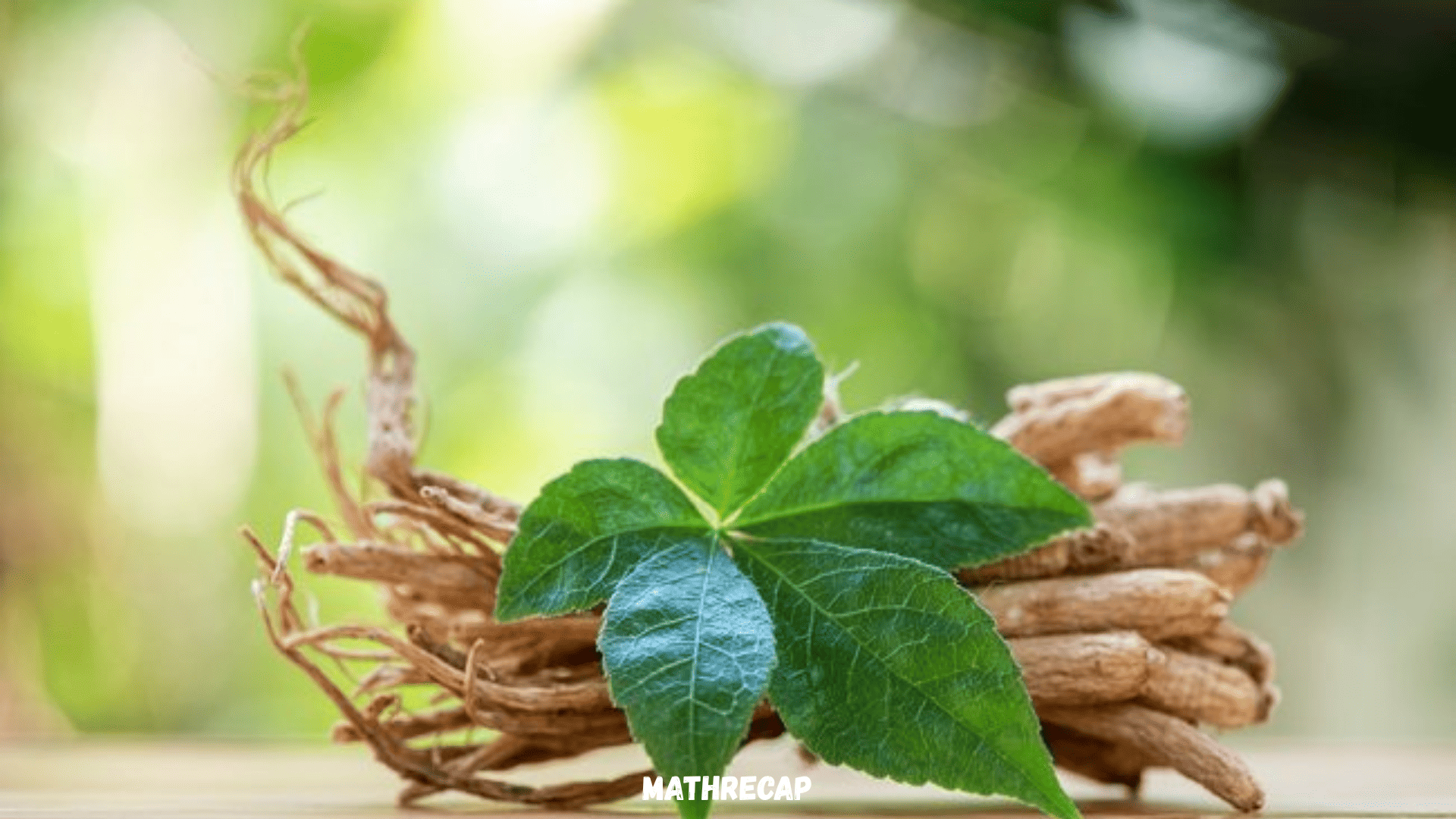 mathrecap