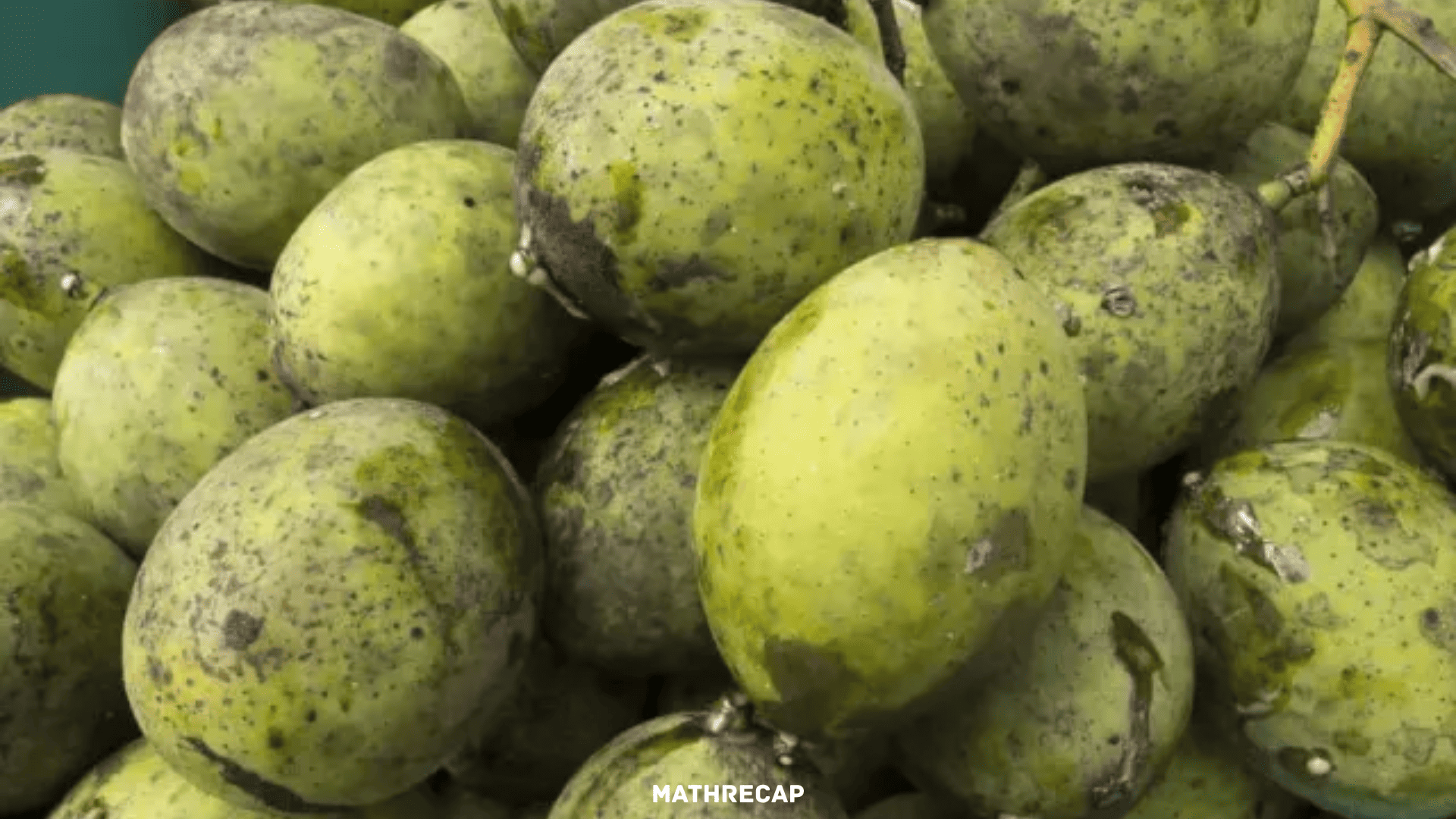 Kandungan dan Manfaat Sehat Buah Bacang yang Kaya Zat Gizi